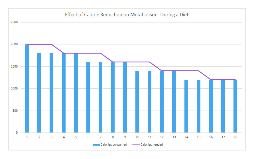 Effect of Calorie Reduction on Metabolism