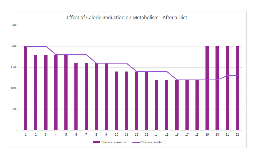 Effect of Calorie Reduction on Metabolism, what happens after a diet