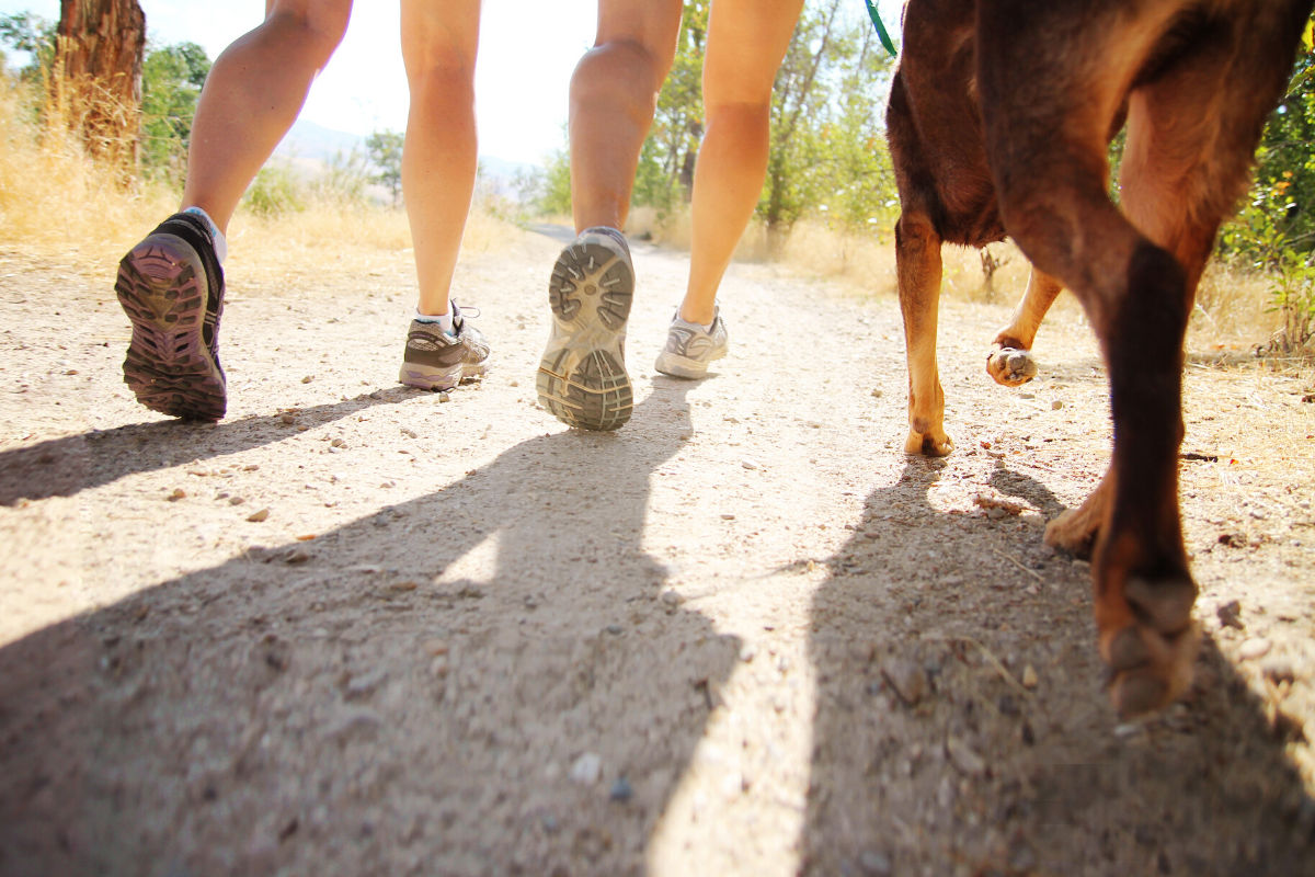 Walking, can it really help you lose weight?