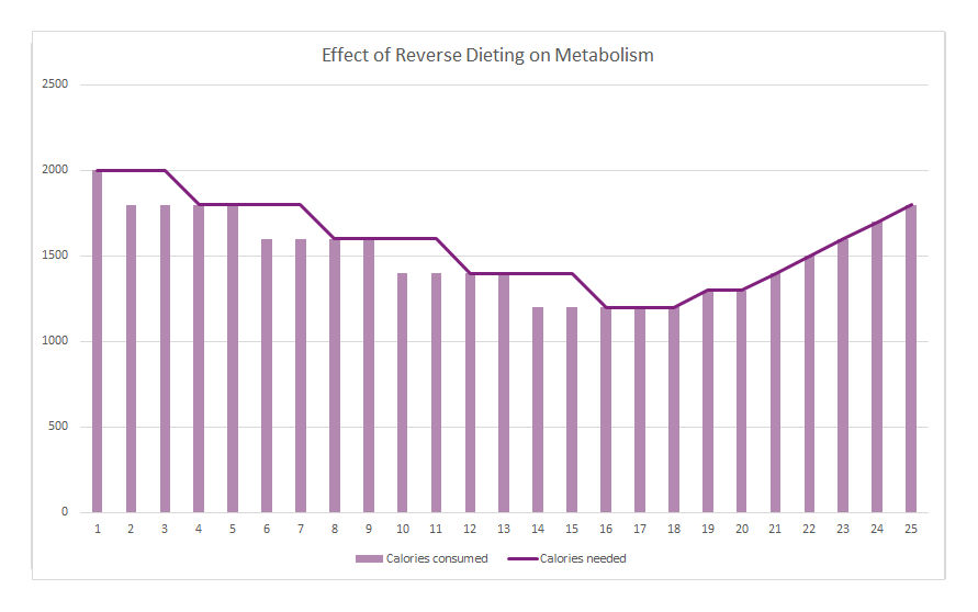 How to Maintain Weight Loss - Reverse Dieting